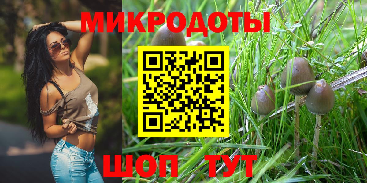 Галлюциногенные грибы Cubensis  Вход с VPN  Скопин  Псилоцибиновые грибы прущие грибы 